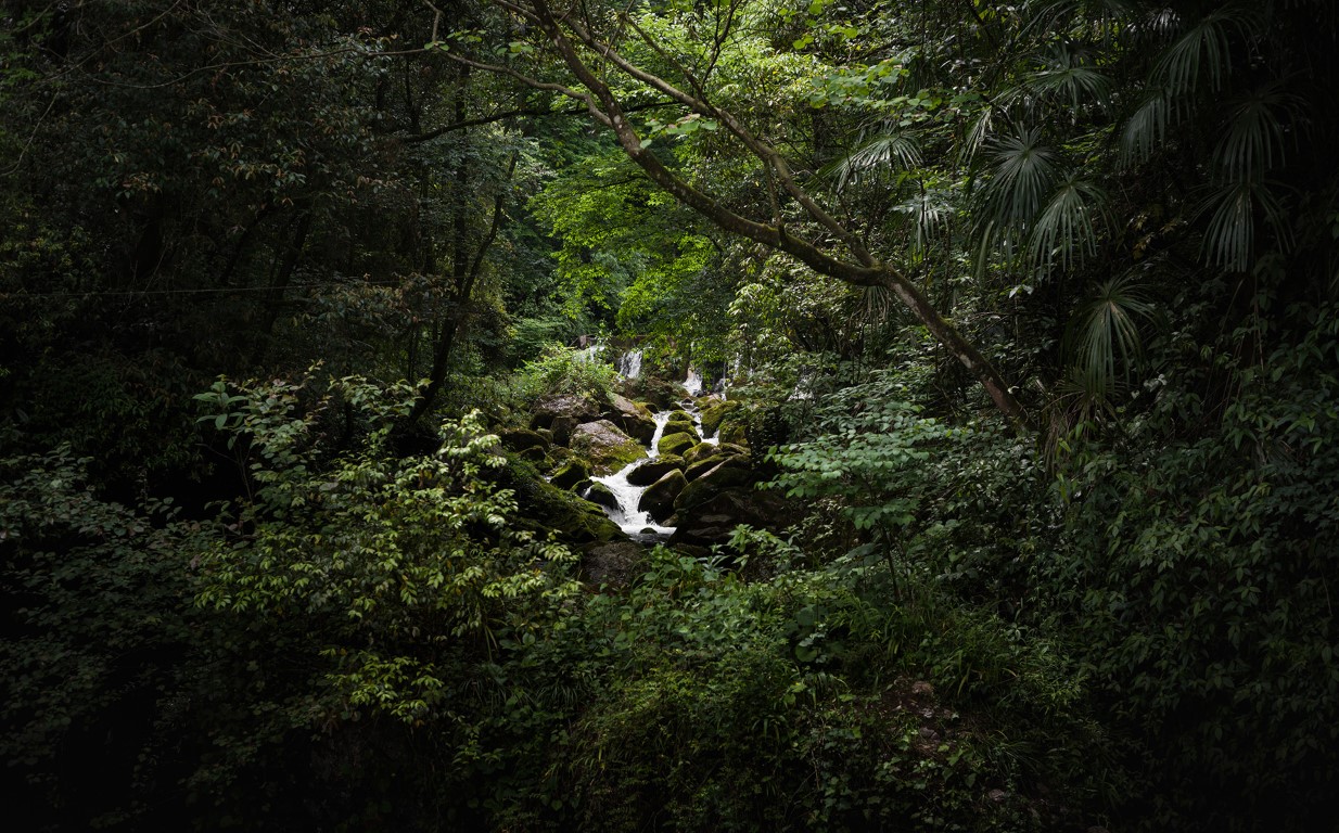 青城山